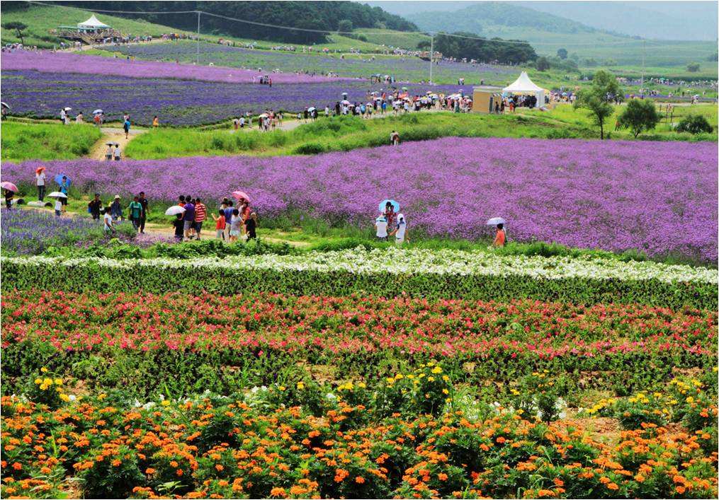 五,积极发展乡村休闲旅游,增添乡村产业发展亮点